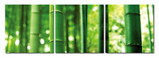 Bild 3er Set Bambus grün
