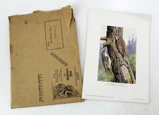 Die Gefiederte Welt ca. 1939