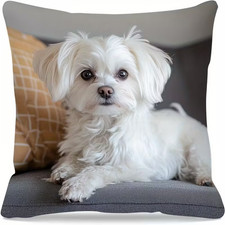 Malteser Hund Kissenhülle Druck Dekokissenbezug 