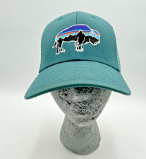 Patagonia Fitz Roy Buffalo Hat