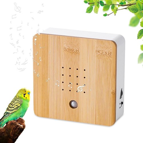 Vogelgezwitscher box mit - vogelgezwitscher,
