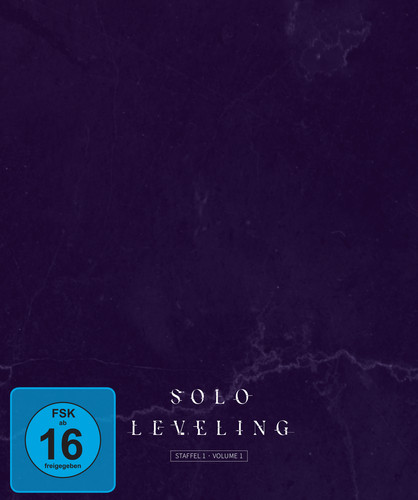 Solo leveling staffel - solo,