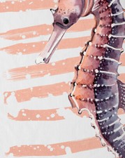 Seepferdchen Kinder T-Shirt