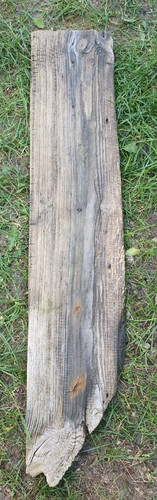 Treibholz schwemmholz - treibholz,