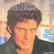 David Hasselhoff – Crazy For You  Vinyl LP VG+/VG+ Jack White BMG  1990