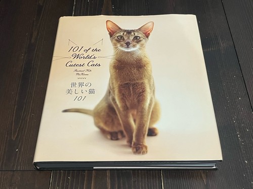 101 der süssesten katzen - 101,