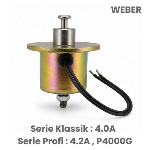 Weber-Ersatzteil