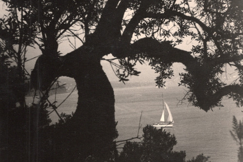 838 foto alt landidyll - foto,