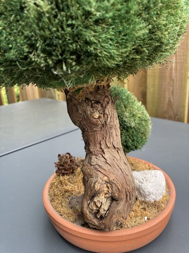 Künstlicher bonsai baum - künstlicher,
