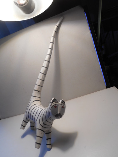 Katze