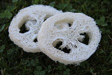 2 Stück Luffa Schwamm