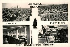 Jerez de la Frontera Armada Cream Dry Don Apitiv Fine Sandeman Sherry
