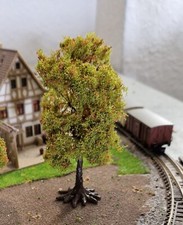 3 Kastanien, Kastanienbäume