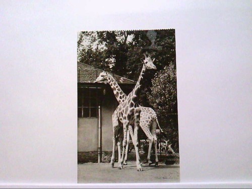 Dresden zoologischer - dresden,,