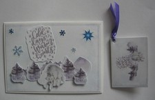 3D Grußkarte Geburtstag engl. Schriftzug Wolf C6 mit Geschenkanhänger