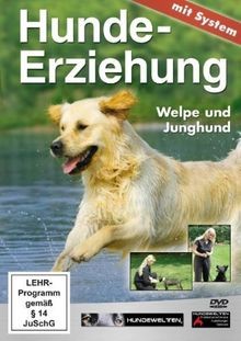 Hundeerziehung mit system - mit,