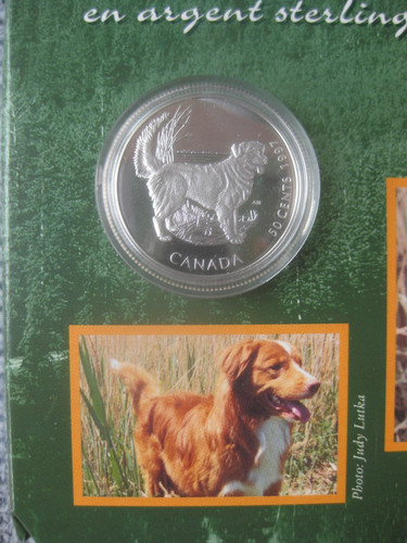 Kanada silbermünze golden - kanada,