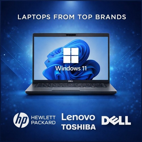 Günstiger laptop windows - windows, 11