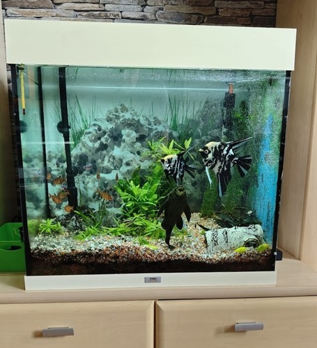 Aquarium juwel komplett 120 - aquarium, l
