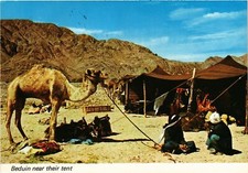 CPM Beduinen in der Nähe ihres Zeltes ISRAEL (1442437)