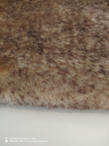 Steiff schulte mohair - steiff, mit