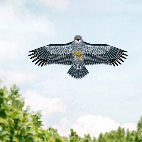 Eagle kite easy - eagle,