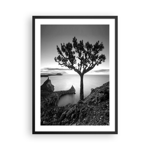 Wandbilder 50x70cm poster baum - 50x70cm,
