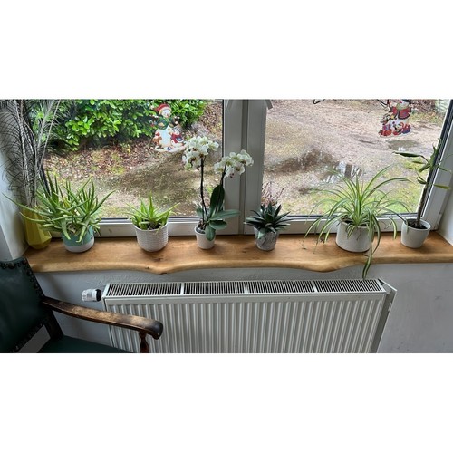 Eiche fensterbank - eiche,,