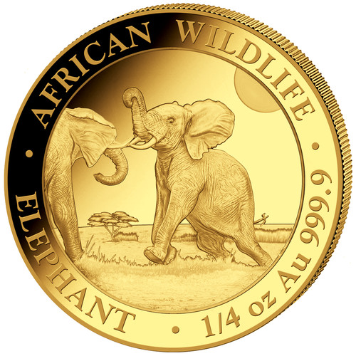 Goldmünze elefant african - elefant,