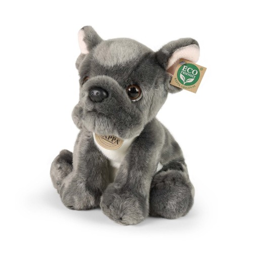 Französische bulldogge cm - französische,
