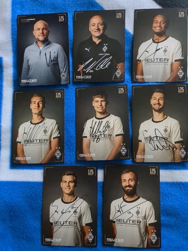 Borussia mönchengladbach - borussia,