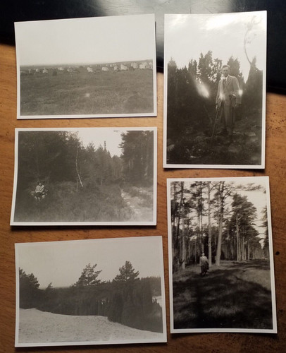 Lüneburger heide wilsede - heide,