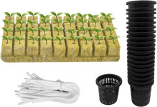 Hydrokultur-Set für