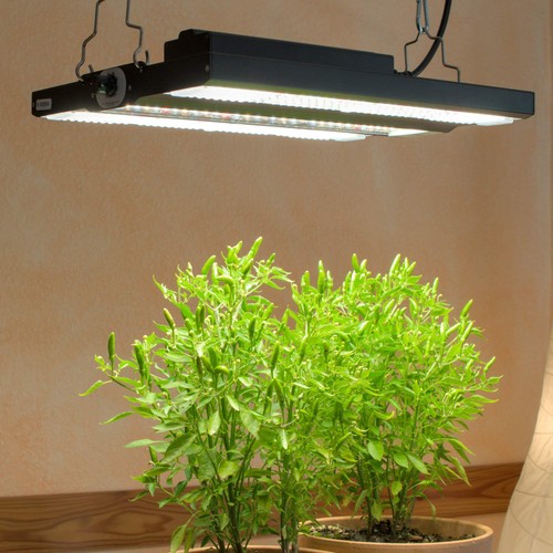 Led pflanzenlampe floris - floris, grow