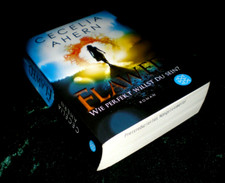 📚 Flawed - Wie perfekt