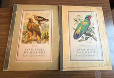 Band bunte vögel aus - &, 2
