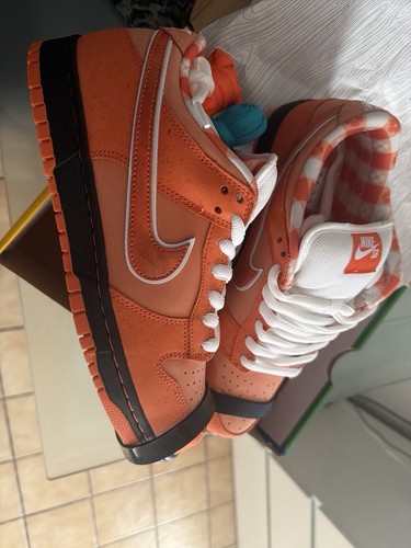 Nike dunk low concepts - low, x