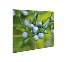 Herdabdeckplatten Set 2x30x52