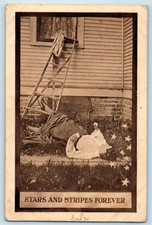 1910 Stars And Stripes Forever