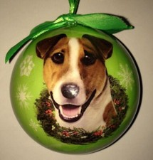 DOG LOVERS! JACK RUSSELL