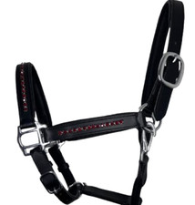 Rotes Kristallleder Pferd