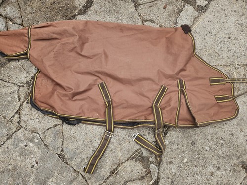 Shetty decke pferd outdoor - pferd,