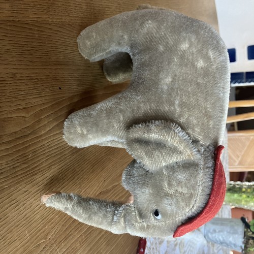 Sehr alter elefant mit - sehr,