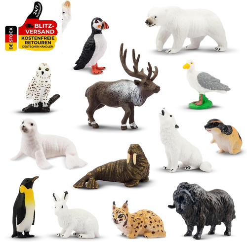 Toymany stück arktische - stück,
