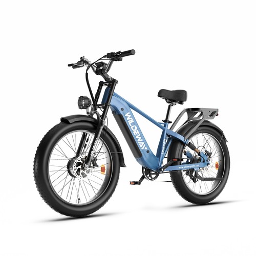 2000w dual motor ebike - dual,