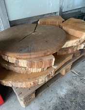 Massive Baumscheiben /