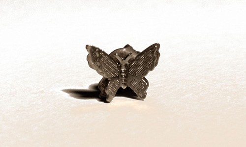 Kleiner schmetterling - kleiner,