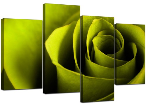 Große limettengrüne rose - große,