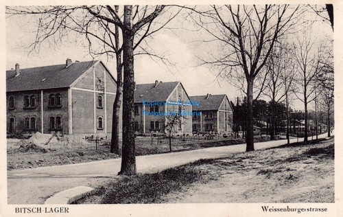 Bitsch lager - bitsch,