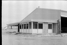 Konvolut 13 alte Foto Negative